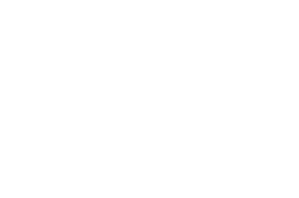 SS Steel Mart Logo